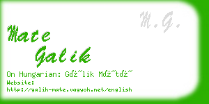 mate galik business card